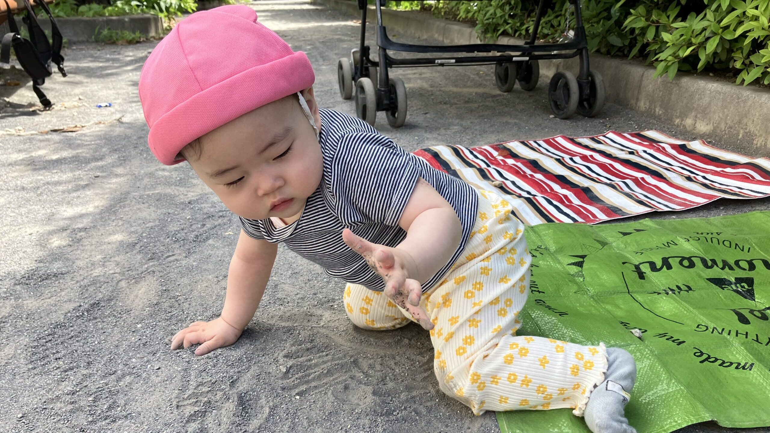毎日の保育