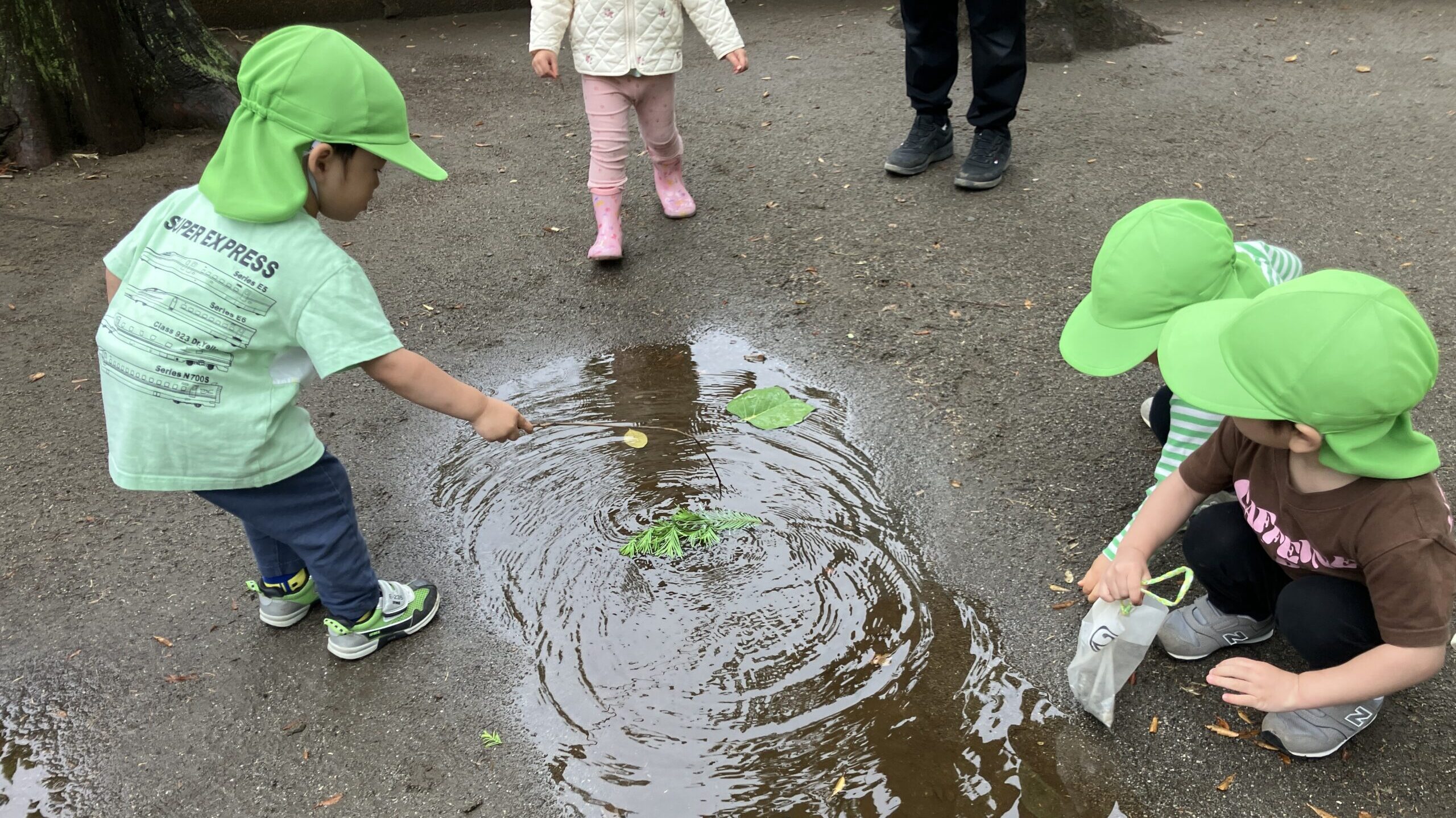 毎日の保育