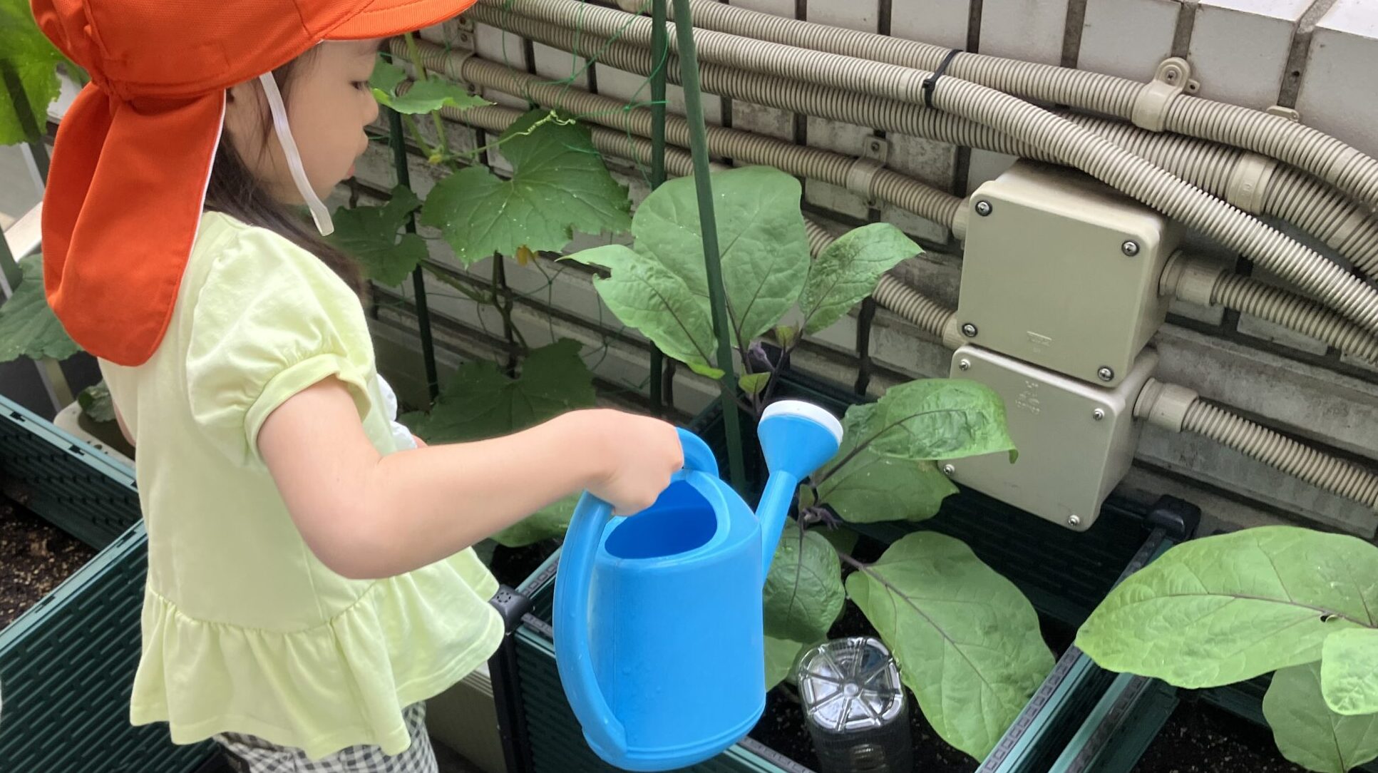 毎日の保育
