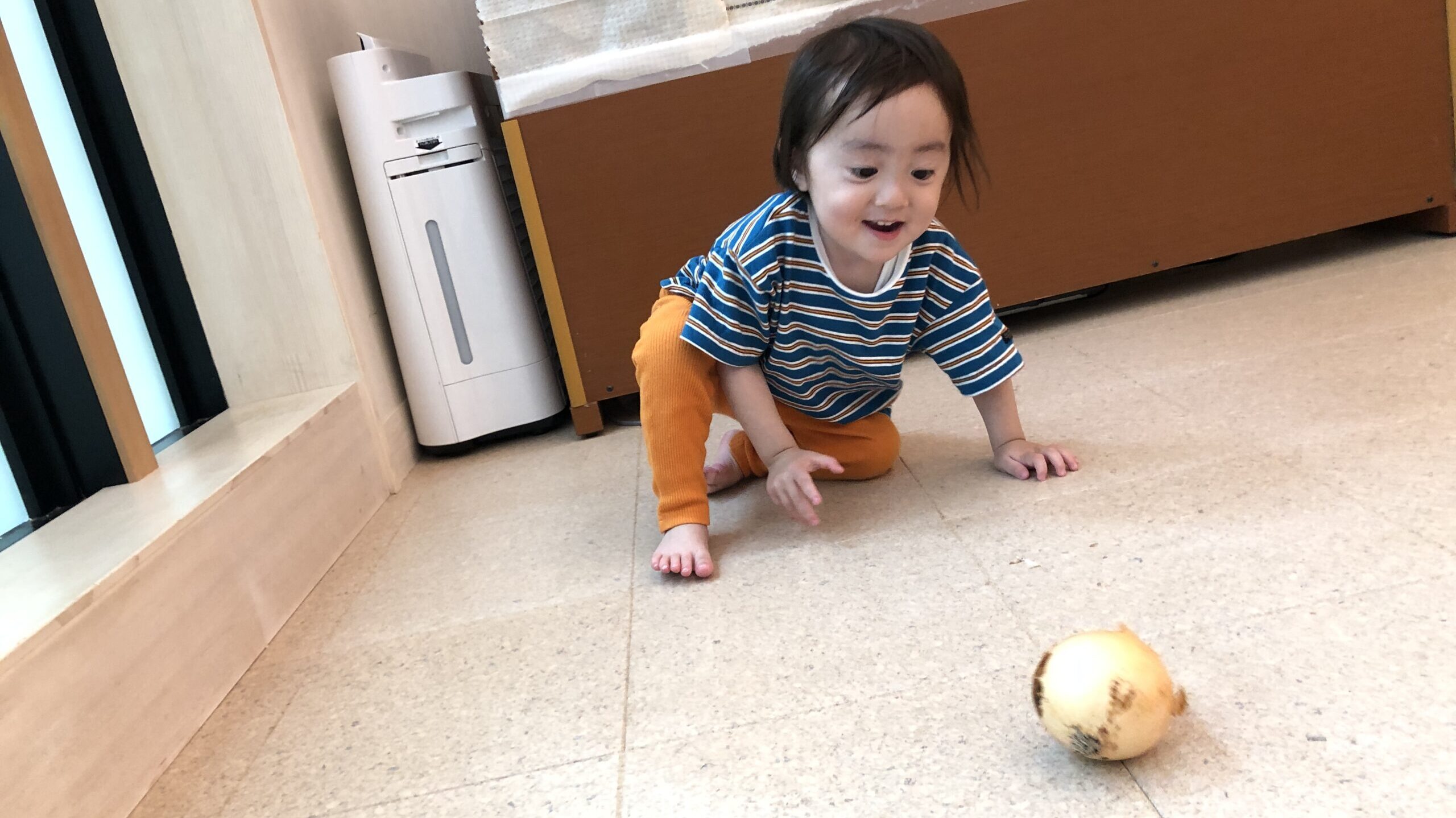 毎日の保育