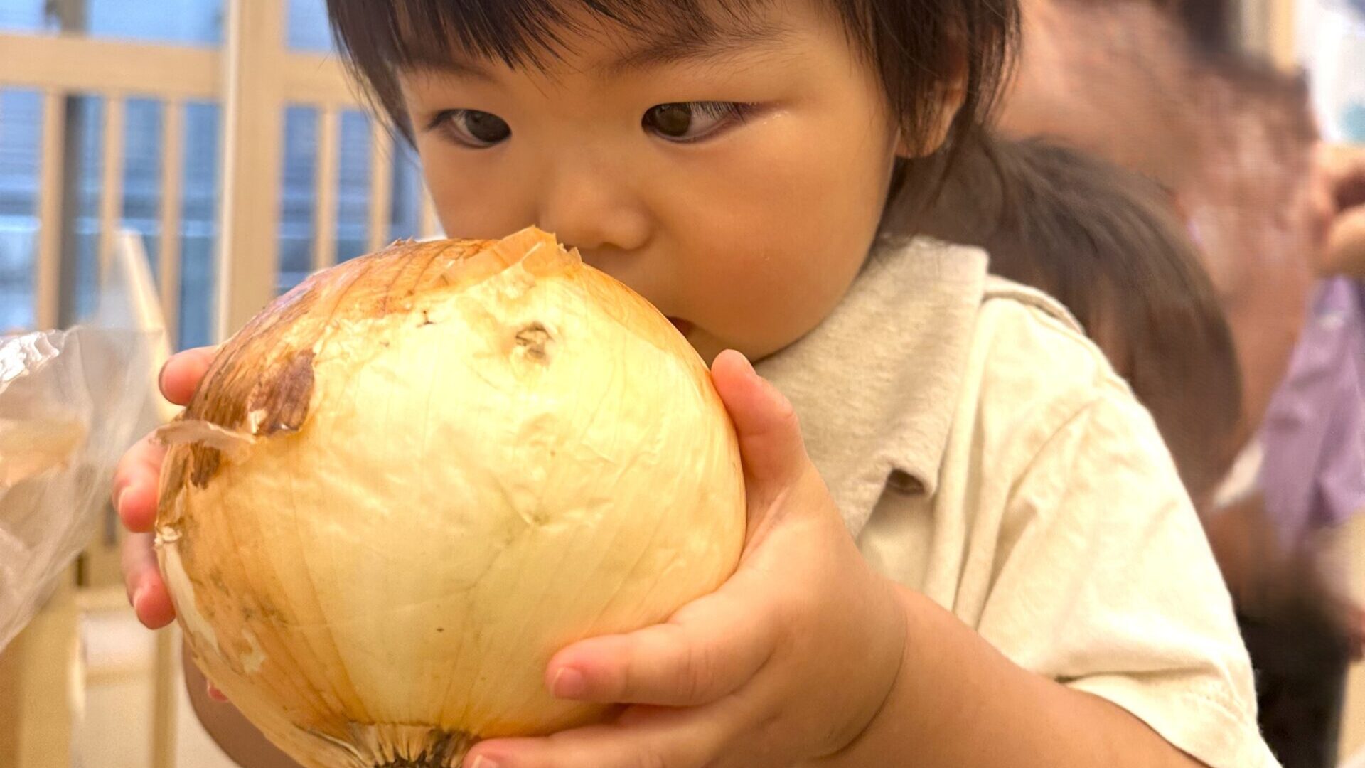 毎日の保育