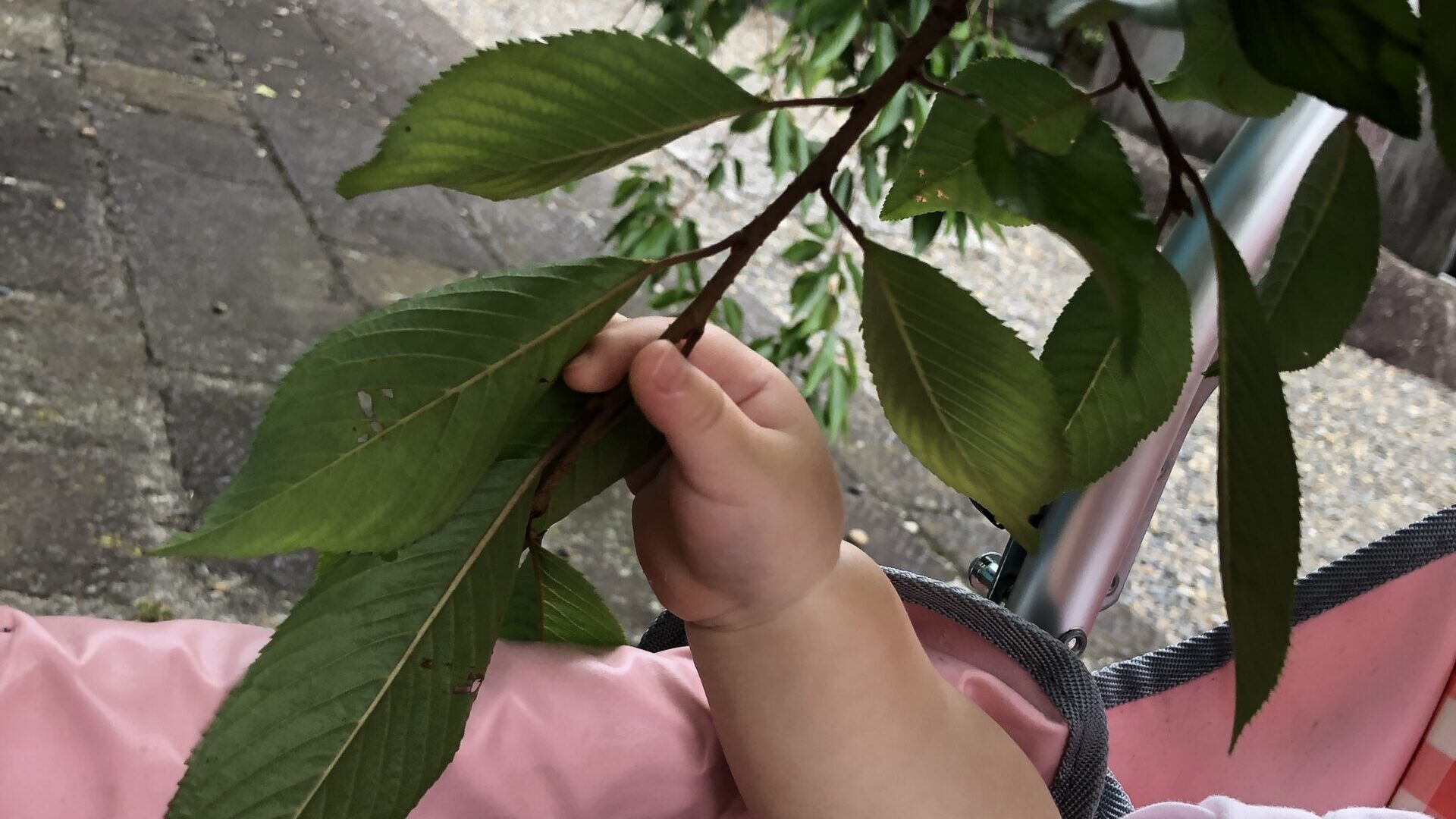毎日の保育