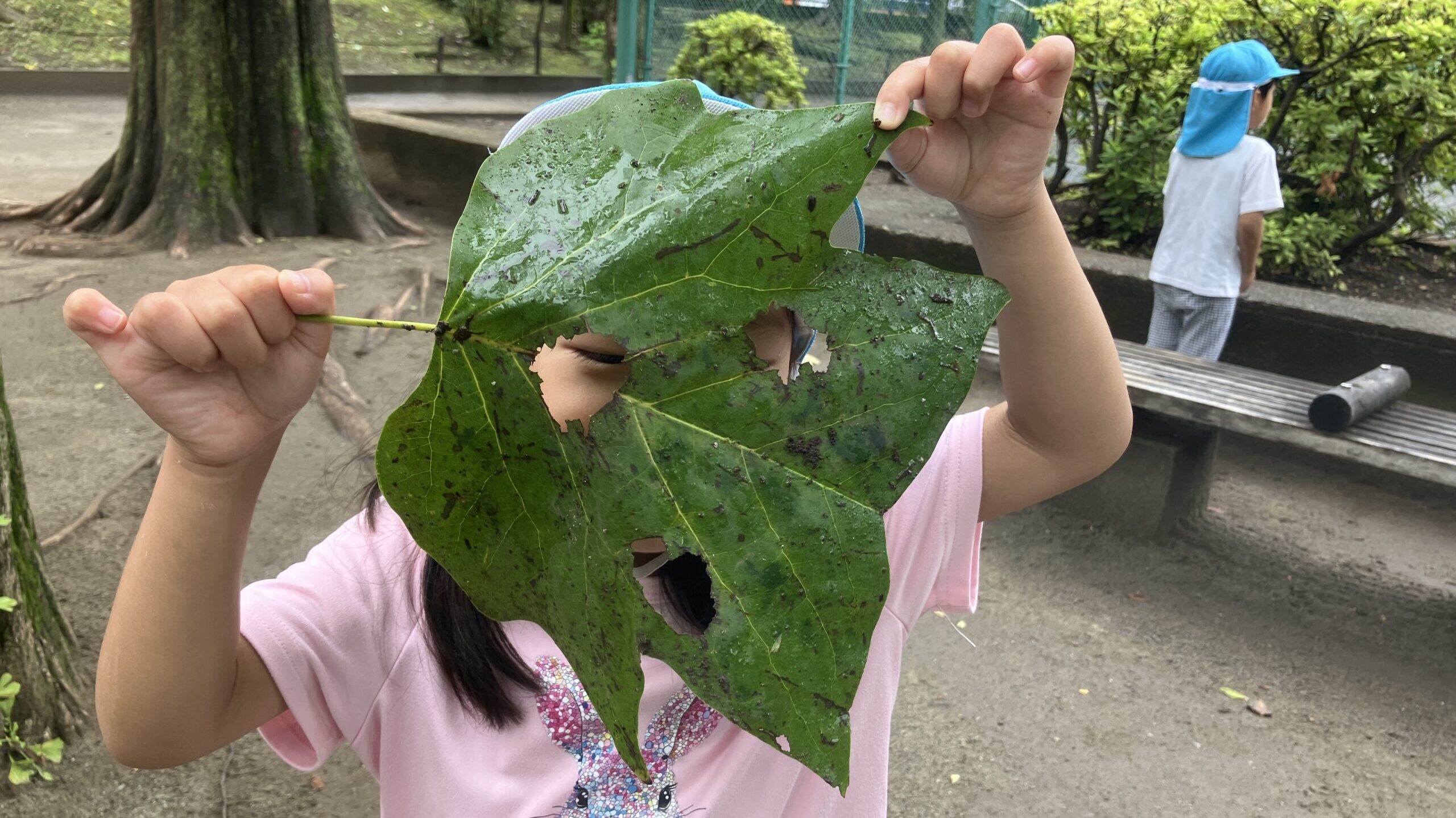 毎日の保育