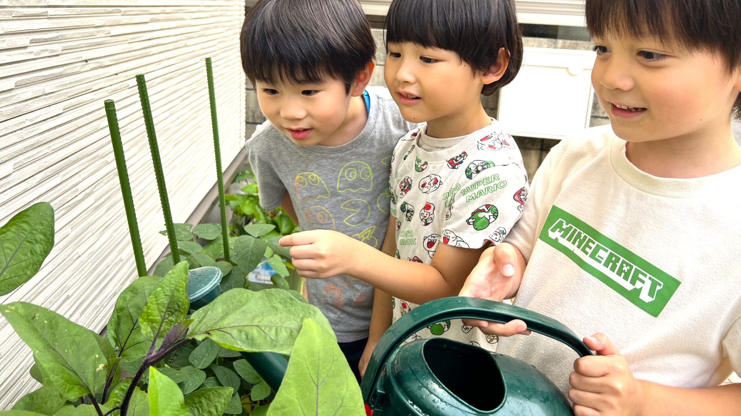 毎日の保育