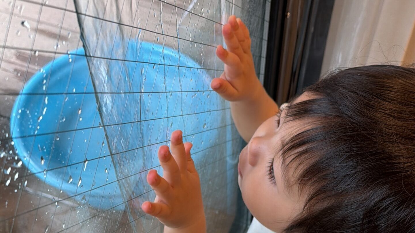 毎日の保育