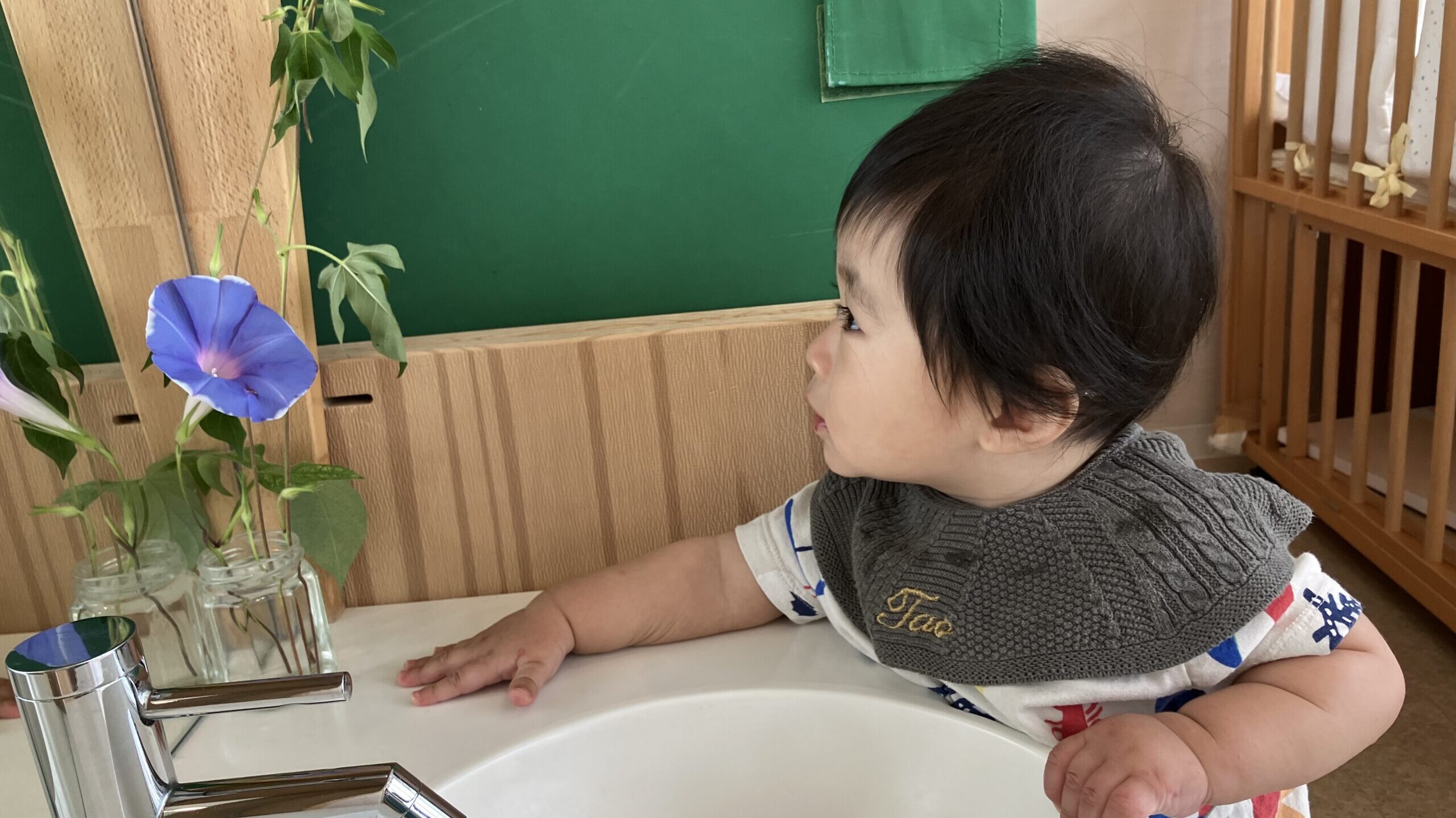 毎日の保育