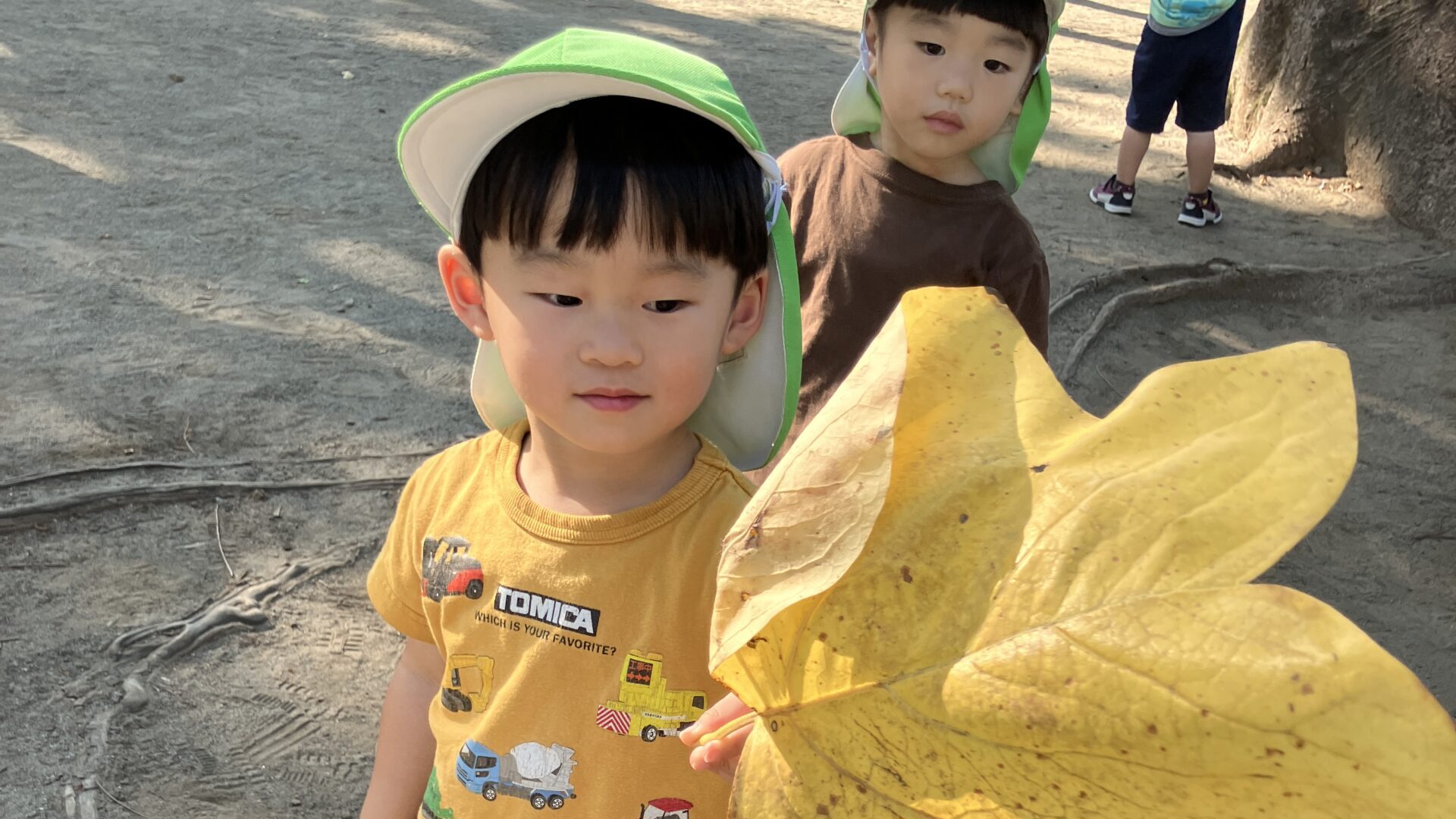 毎日の保育
