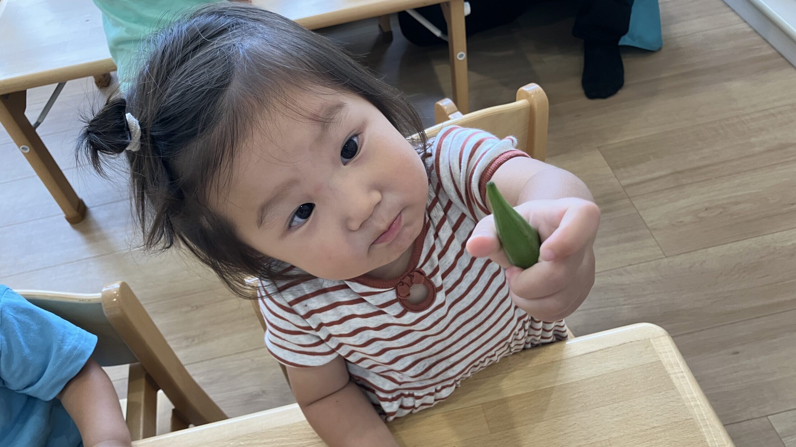毎日の保育