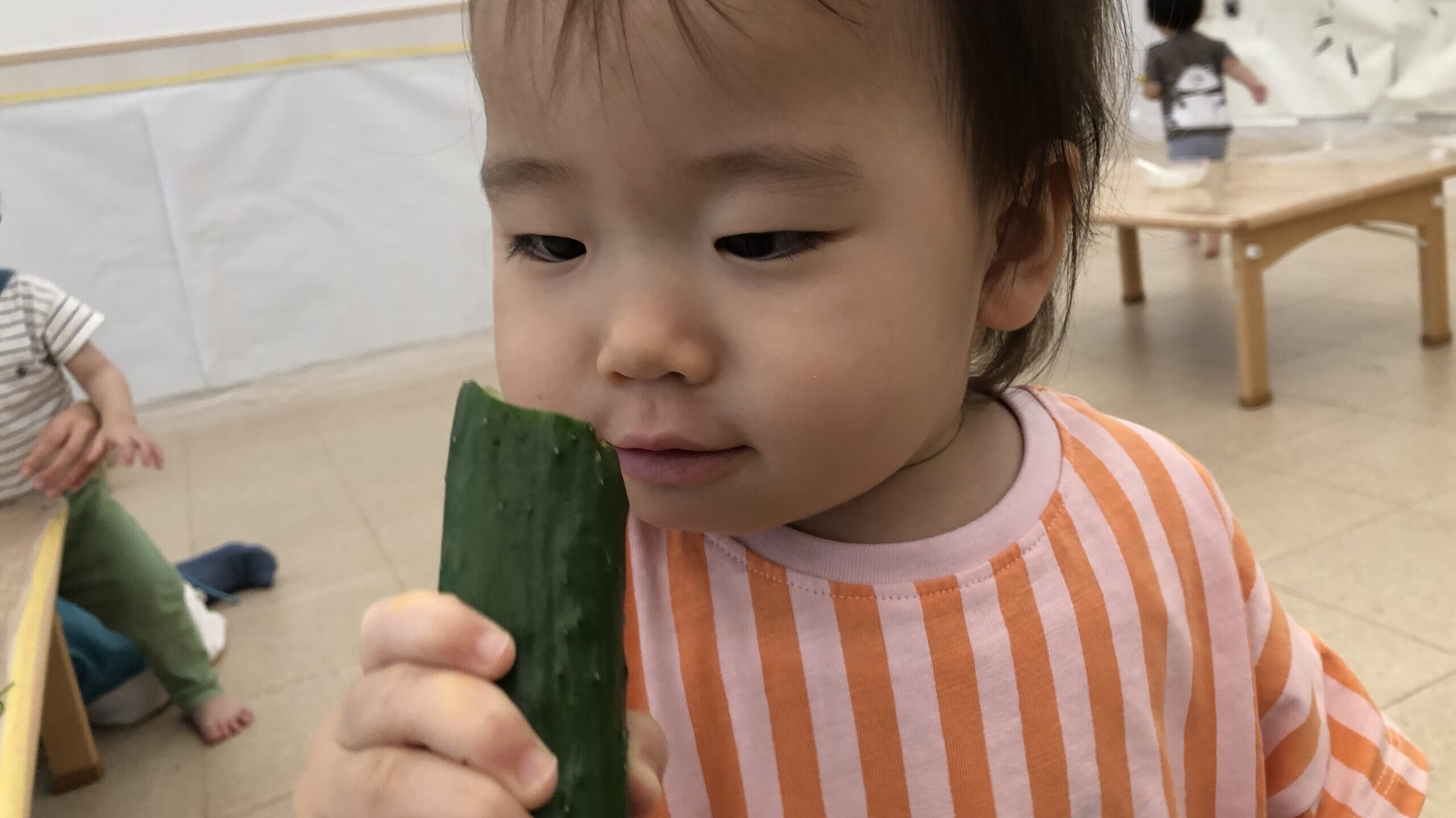 毎日の保育