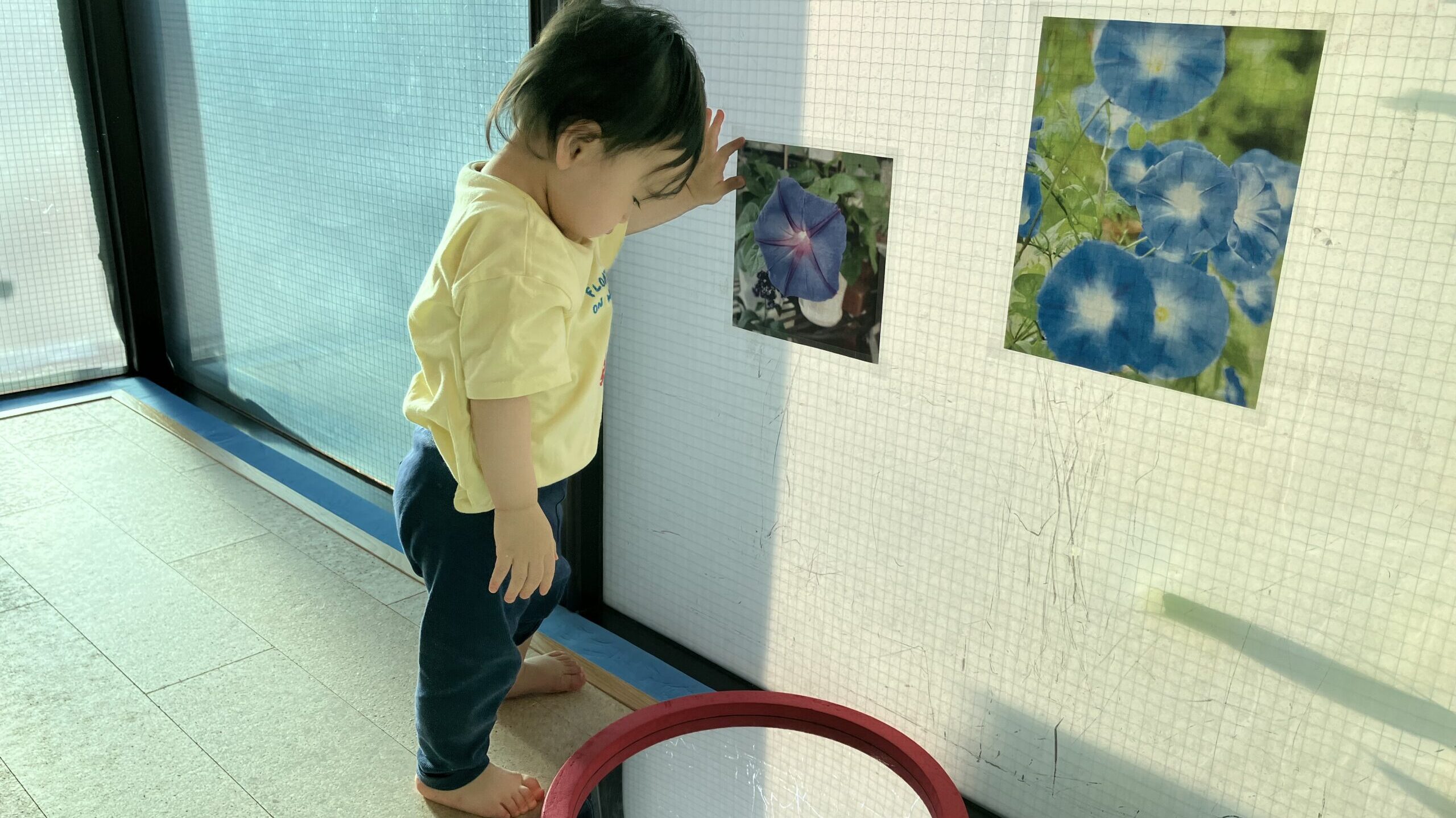 毎日の保育