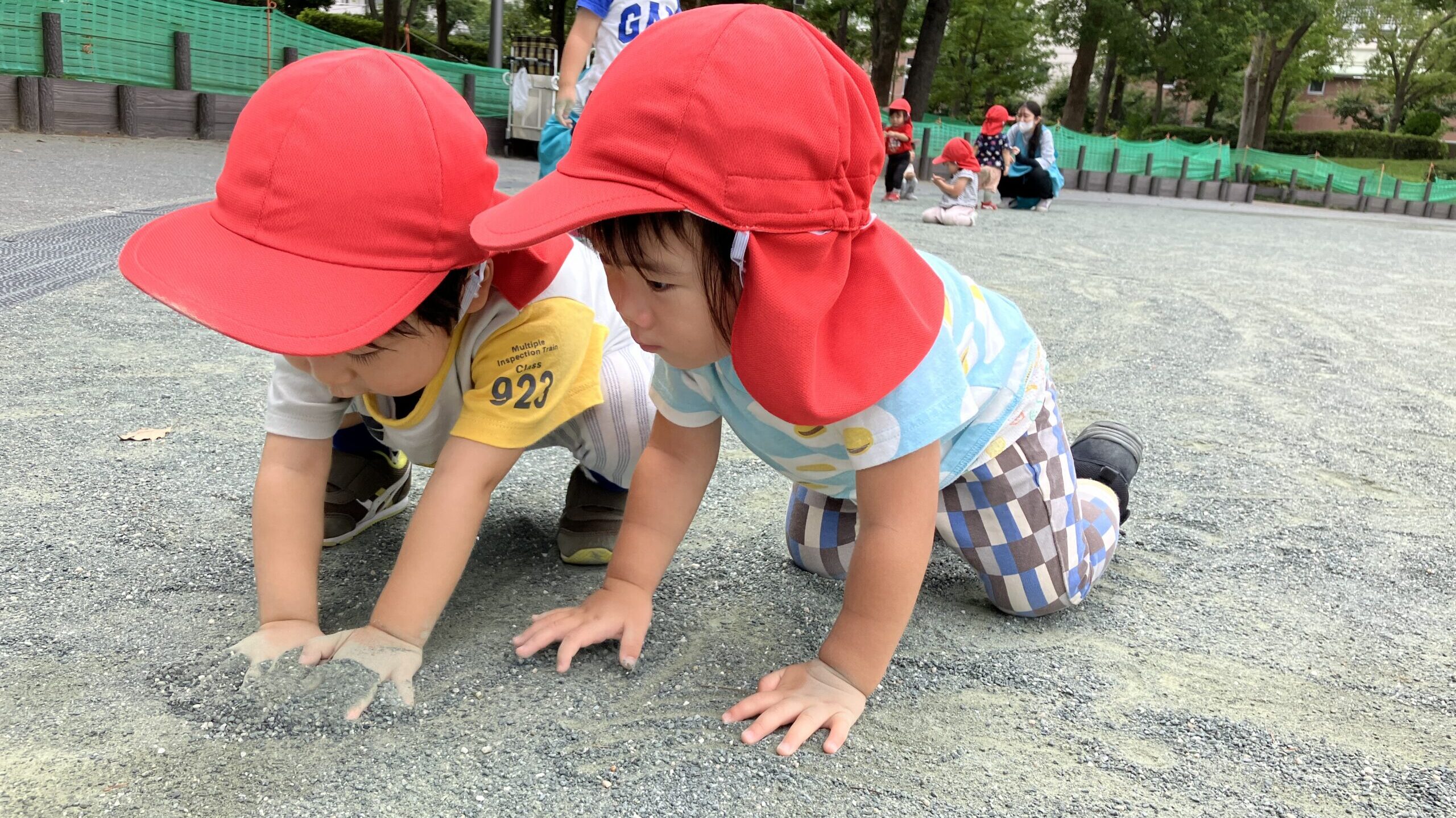 毎日の保育