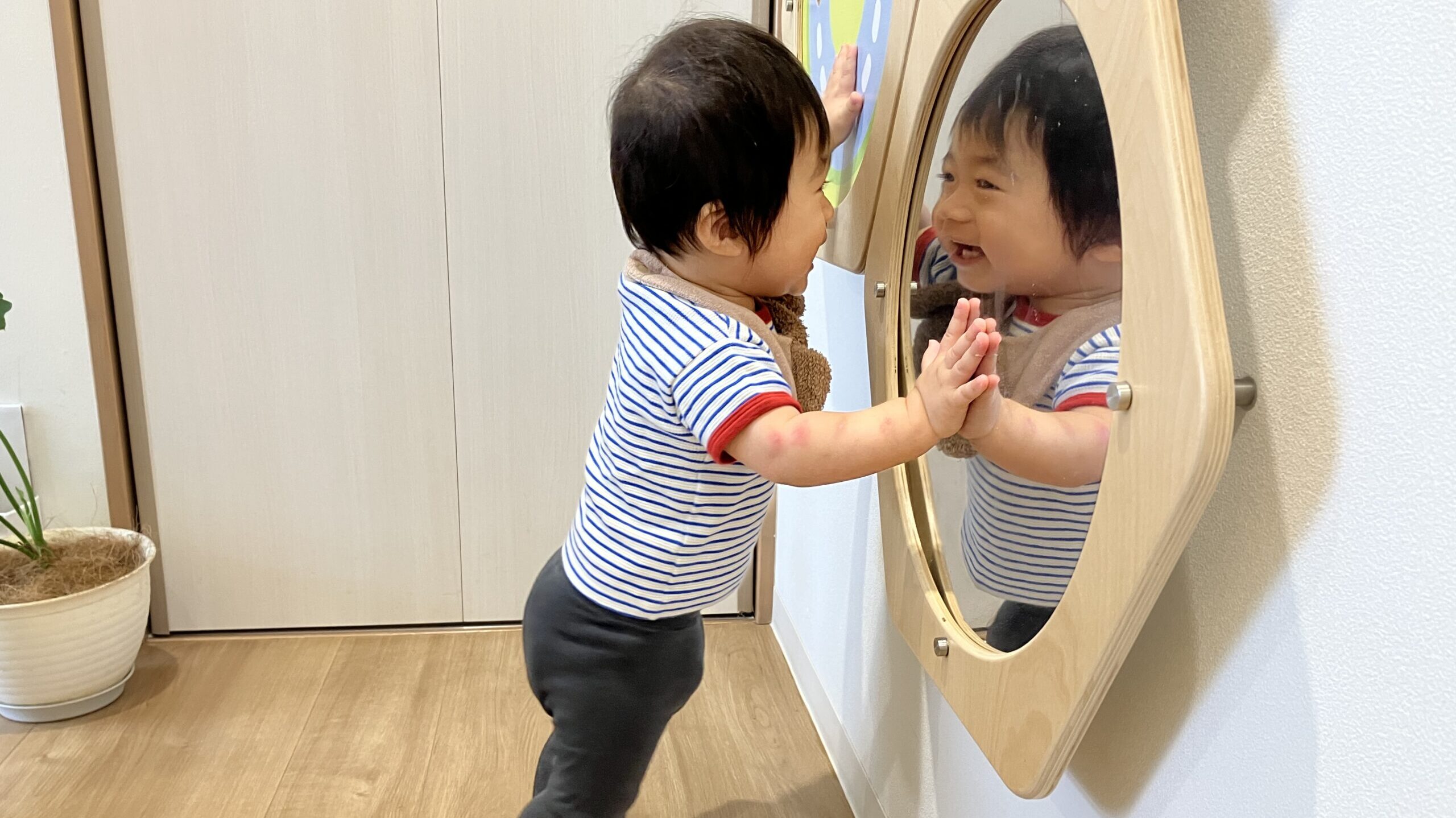 毎日の保育