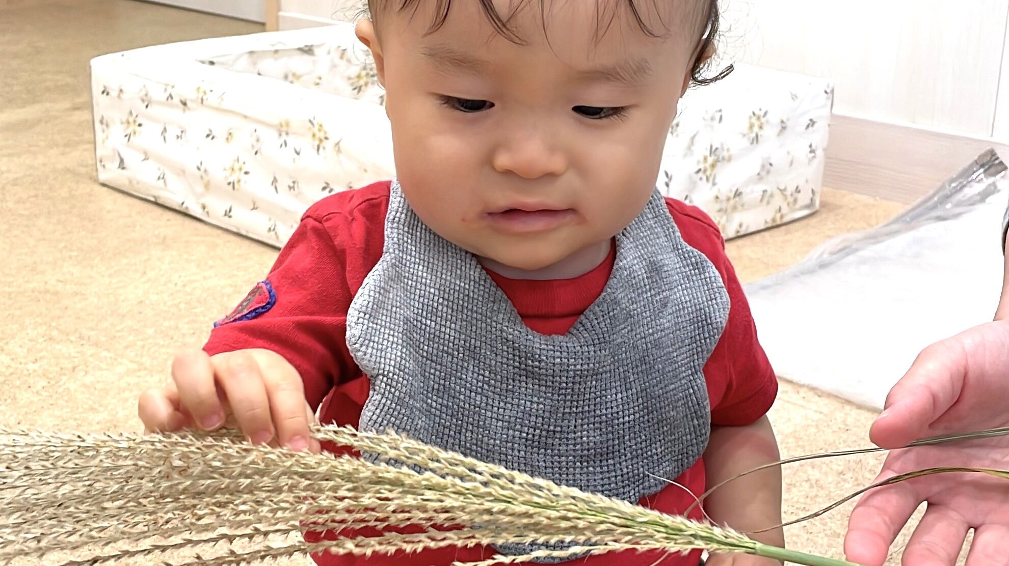 毎日の保育